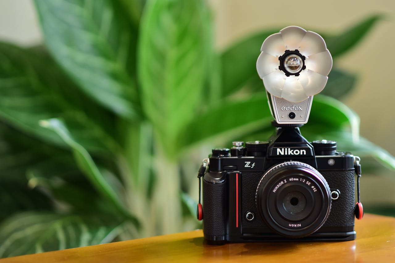 gallery-01 pexels-photo-34860110.jpeg